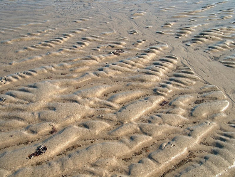 Herb Spiral Image 2