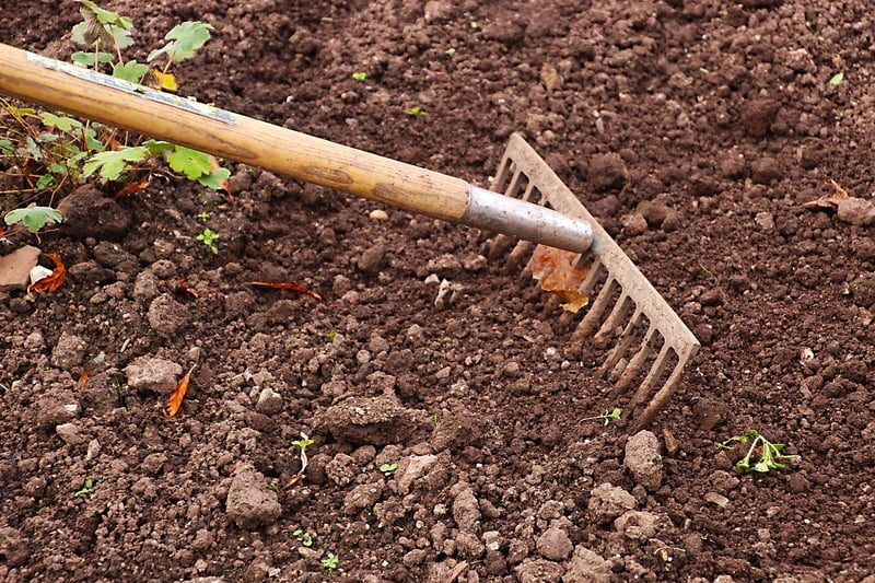Companion Planting